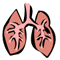 lungs